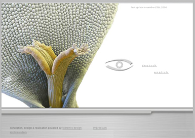Captura de pantalla del sitio web