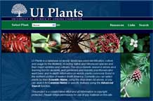 Captura de pantalla del sitio web