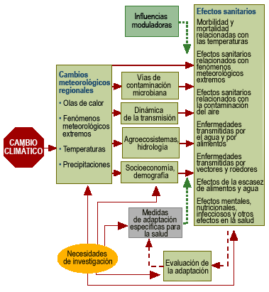 Esquema tomado de las páginas que se comentan de la OMS
