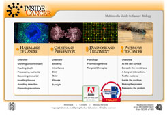 Captura de pantalla del sitio web