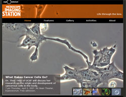 Captura de pantalla del sitio web Captura de pantalla del sitio web