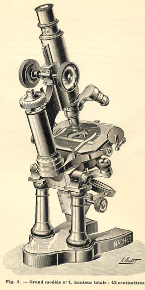 Nachet gran modelo 1