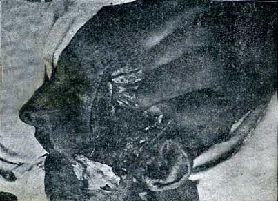 Imagen 1 del texto de San Martín