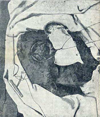 Imagen 3 del texto de San Martín