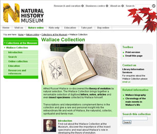 Captura de pantalla del sitio web