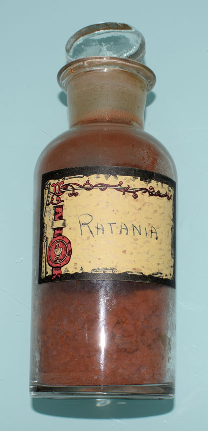 Ratania (Krameria lappacea)