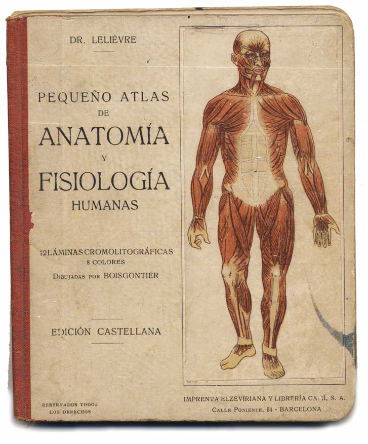 Pequeño Atlas de Anatomía