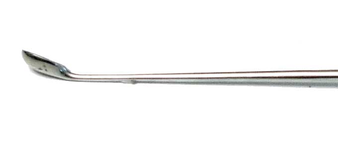 Cucharilla uterina Schoeder