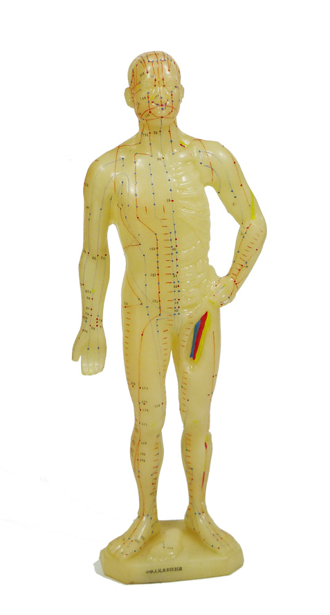 Modelo de cuerpo humano con los puntos de aupuntura y los meridianos