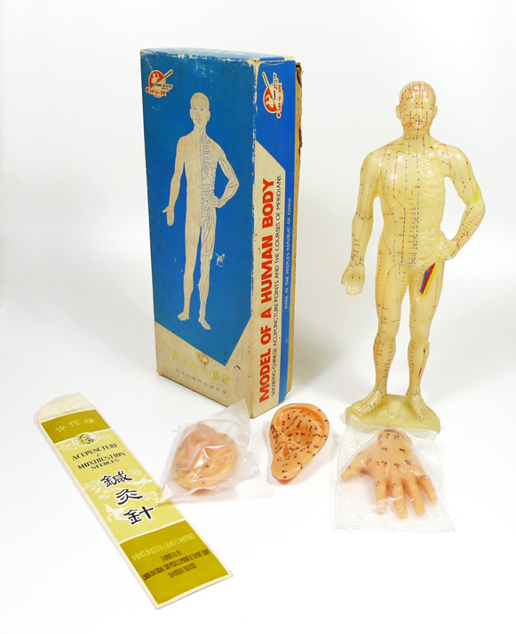 Modelo humano con los puntos de acupuntura y meridianos