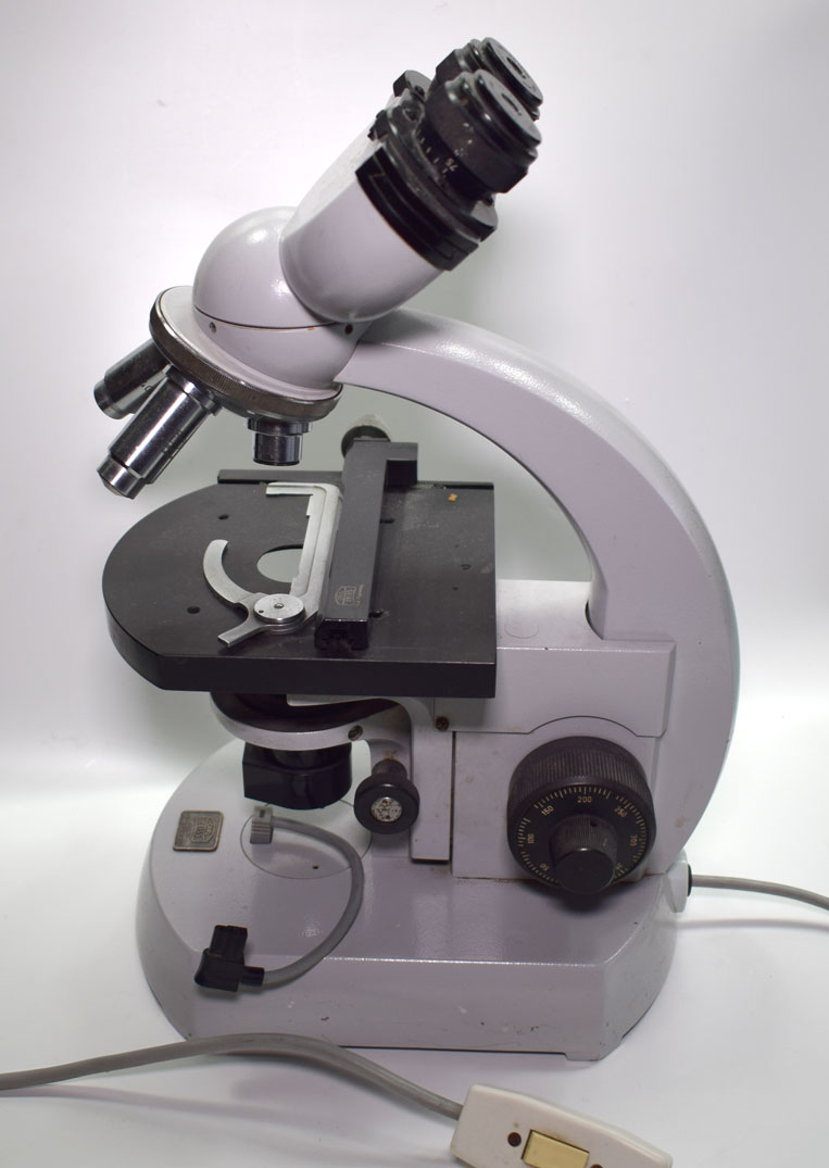 Microscopio binocular Carl Zeiss