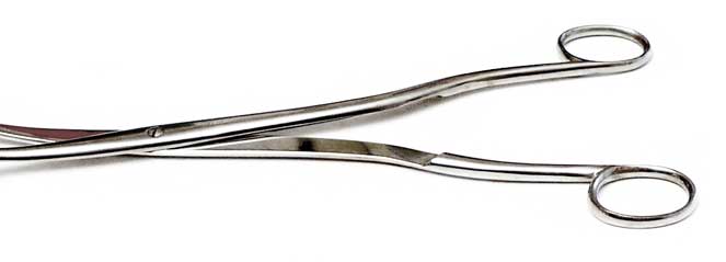 Pinza Winter para restos placentarios